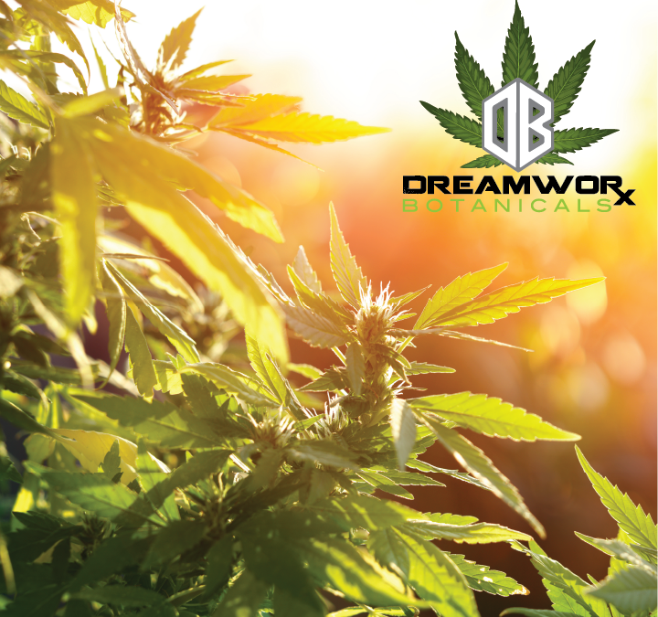 CBD Isolate Bulk Best CBD Isolate Poteau