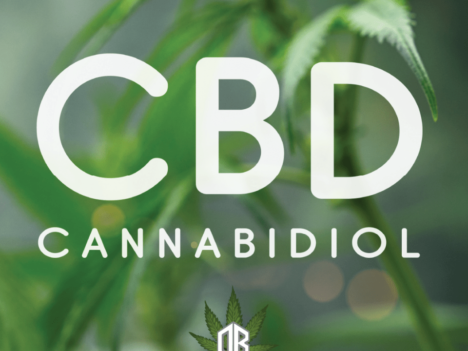 CBD Business Opportunities Poteau