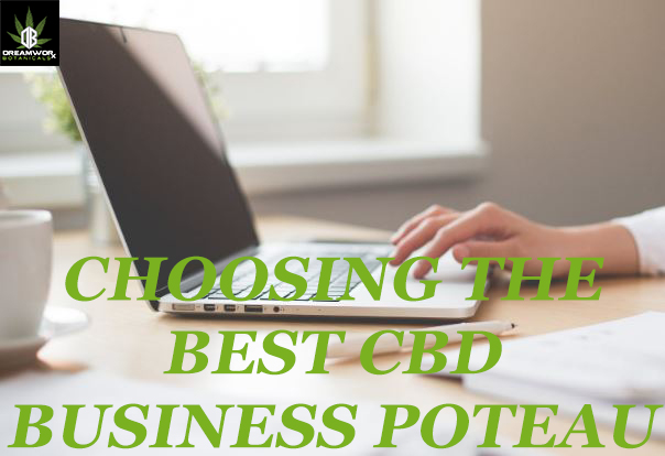 choosing best cbd business