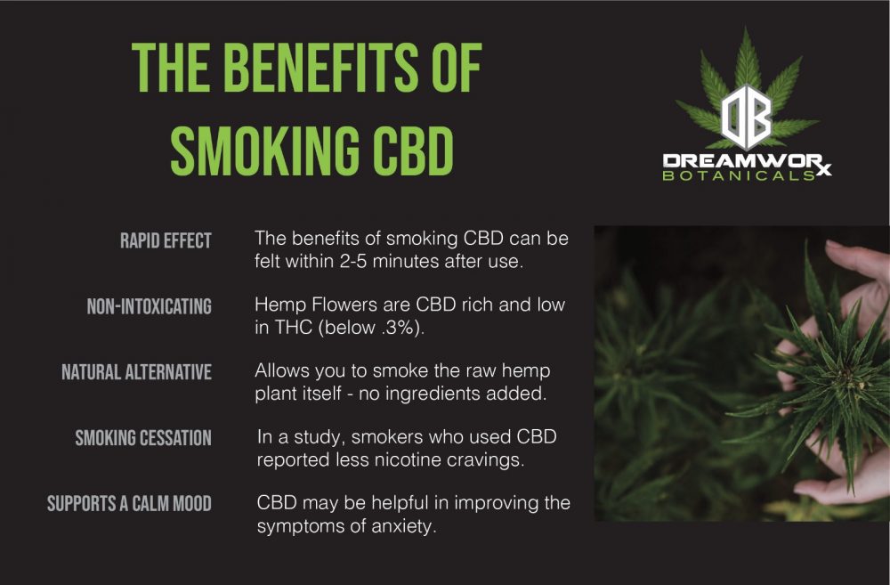 Top 5 Benefits Of Smoking Cbd What Are Cbd Cigarettes Good For Dreamworx Botanicals Plant