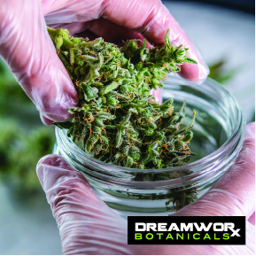 Fort Worth CBD Oil - Types of CBD - DreamWoRx Botanicals Fort Worth CBD Oil - DreamWoRx CBD Fort Worth - Where To Get DreamWoRx CBD